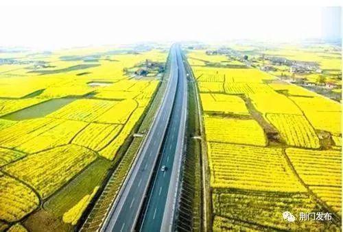 湖北省2022油菜主推品种