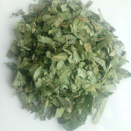 羊柏叶要煮多久
