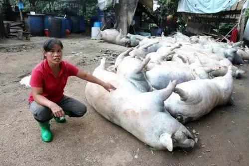 人被雷劈死后为什么身上没有伤