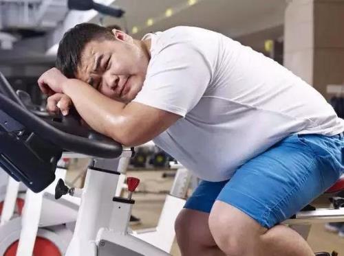 为什么有的人身体素质那么好