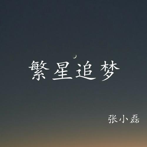 看着繁星在夜空闪烁歌词