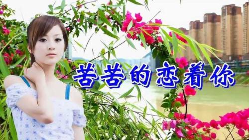 除了你歌曲意意