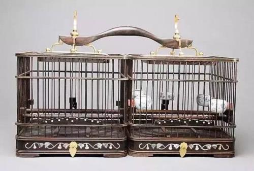 鸟笼上漆的好还是不上漆的好