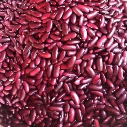 腰豆是什么时候种植的