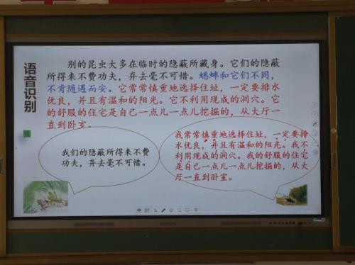 蟋蟀造句怎么造
