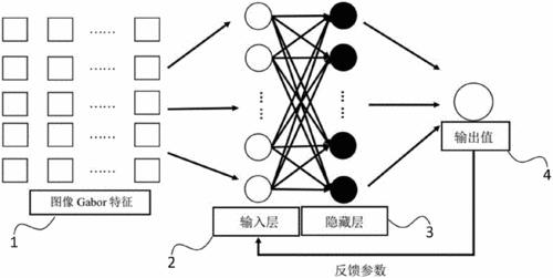 bp检验的步骤