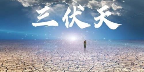 2020年北京三伏时间表