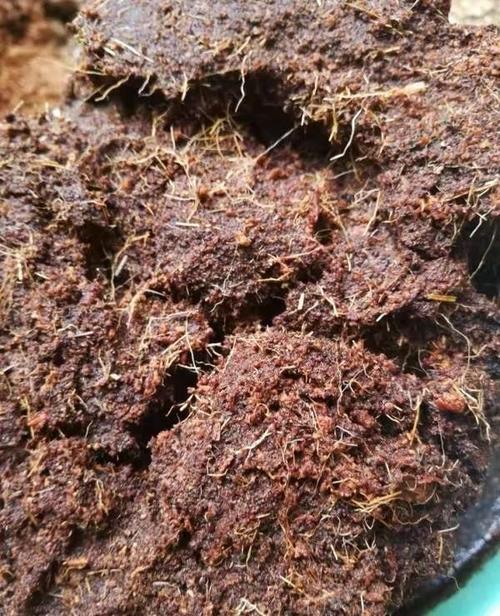 椰糠不吸水