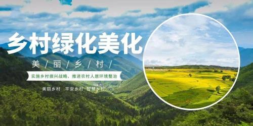 乡村建设行动方案全文