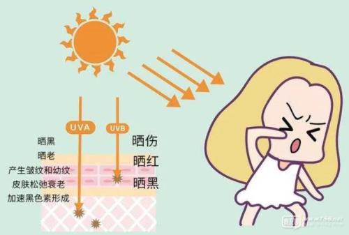 紫外线11级算高吗