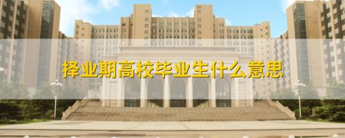 择业期是什么意思