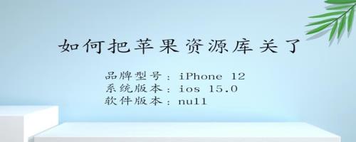 苹果资源库的建议是按什么标准
