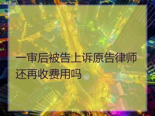 原告律师可以调查被告信息吗