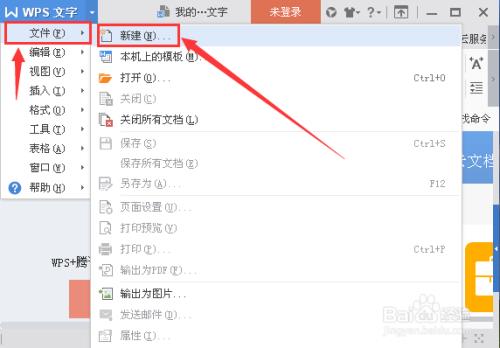 wps不能启动对象的源应用程序