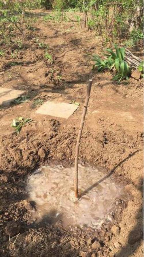 防冻水在什么时候浇