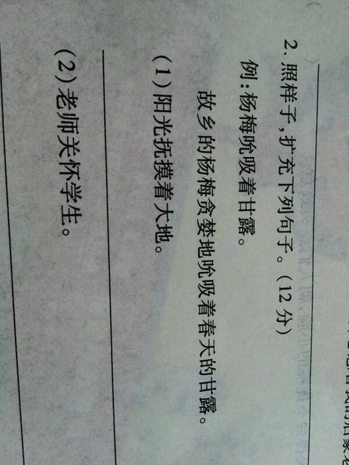 前后照样的句子是什么意思