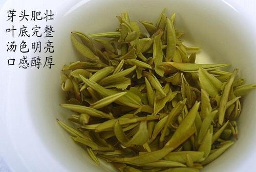 安徽产什么茶