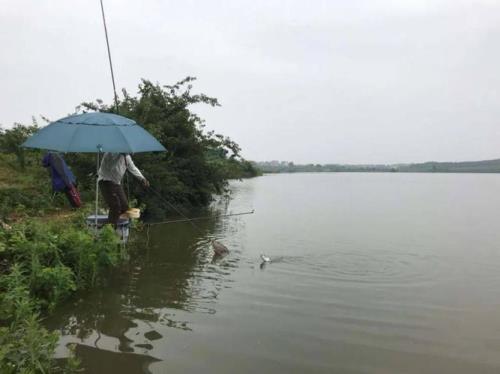 夏天下雨降温后钓鱼好吗