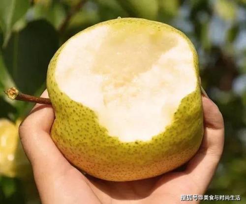 世界梨都是哪里的