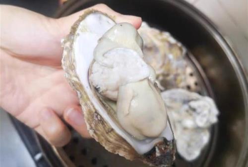 如何清洗生蚝内脏生蚝怎么清洗