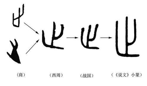 抢榆枋而止的而是什么意思