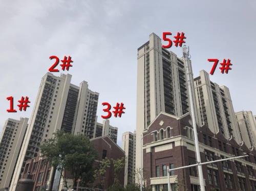和昌香樟原著哪个物业
