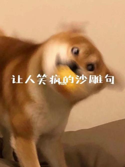 加班文案可爱沙雕图片