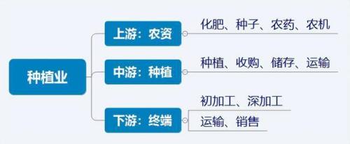 产业链最早谁提出来的