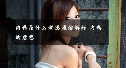 解析是什么意思通俗
