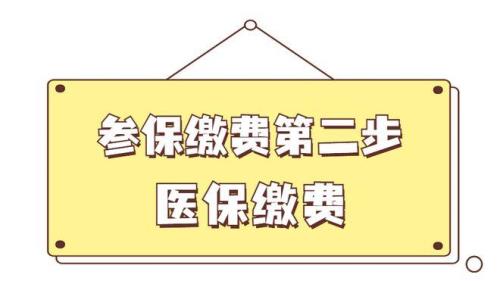 城乡居民医保缴费后多久生效