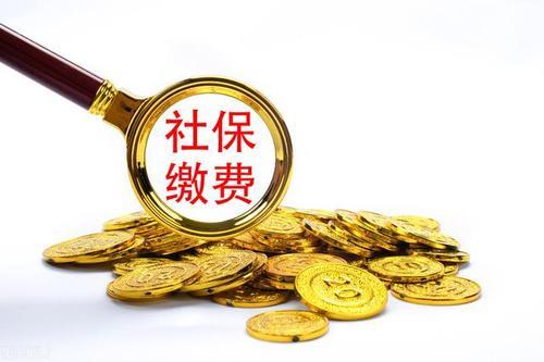 什么社保转农保最好