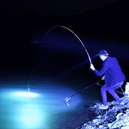 夏季夜钓风大适合钓鱼吗