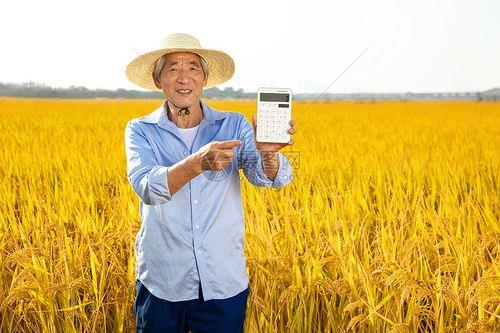 农户编码在网上怎么查