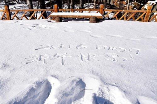 四字成语什么雪地