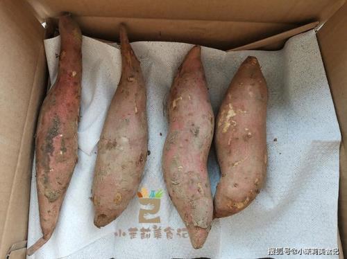 红薯糖化的最佳温度