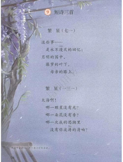 冰心诗歌繁星101什么意思