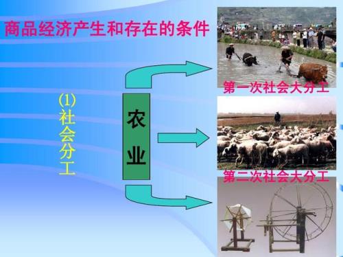 三次社会大分工是指哪些分工