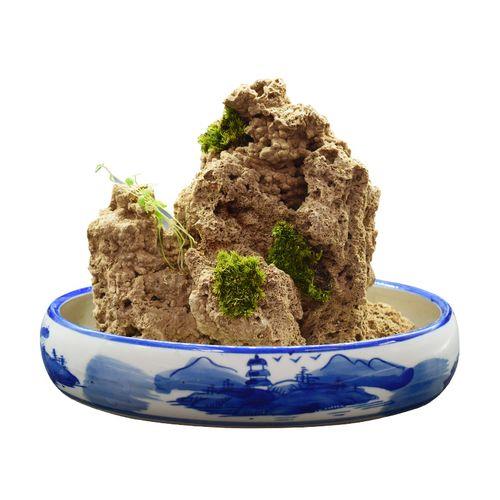 水锈石盆景上栽哪种植物