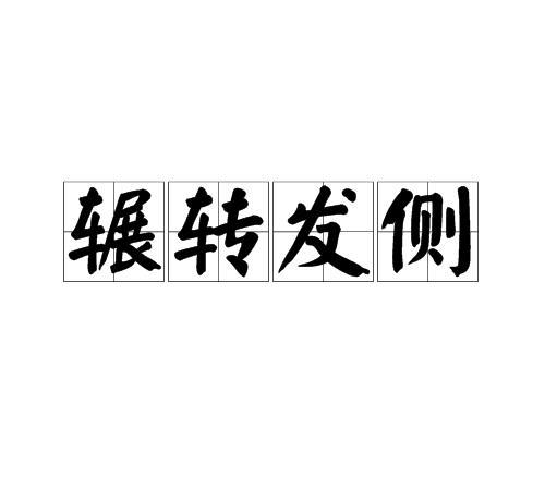 复复反反是成语吗
