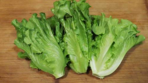 生菜为啥闻臭味
