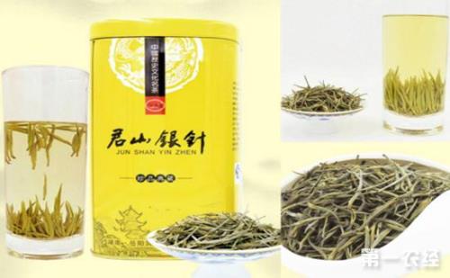 君山银针为什么能竖起来