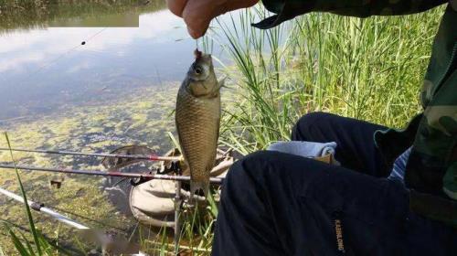 夏季32度能钓鱼吗