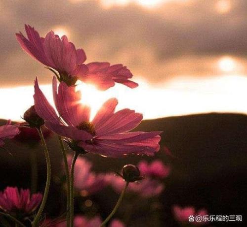 反正和凡是的区别