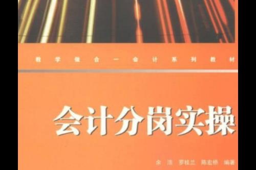 会计分岗定责意义