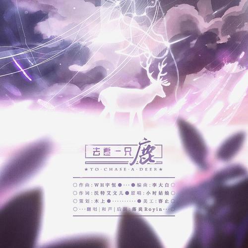 去追一只鹿歌词表达了什么