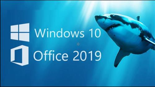windows2019企业版好用吗