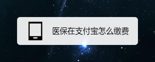 支付宝代缴医保后怎么查询缴费
