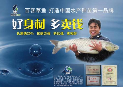 海大鲫鱼养殖模式