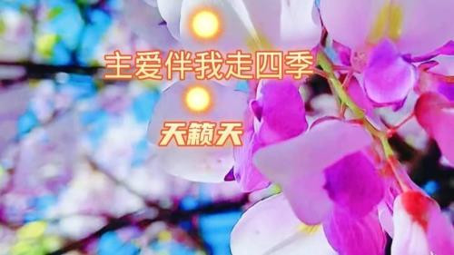 主在爱就在原唱