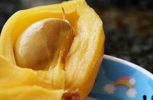 兔子能吃菠萝蜜籽吗